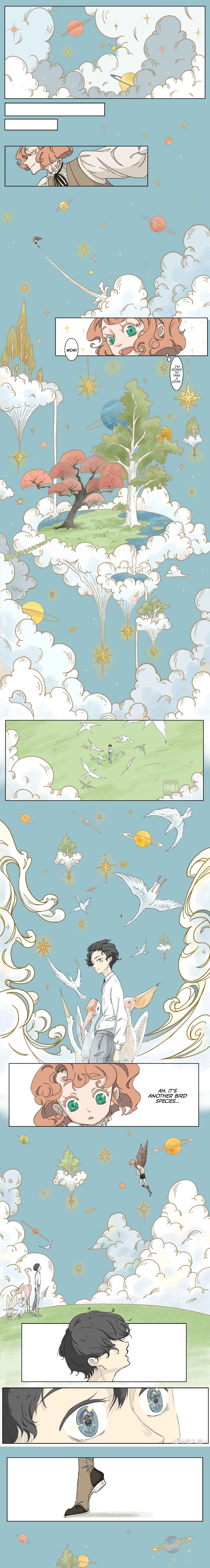 The Story of the Kiwi Bird Chapter 2 - Page 1