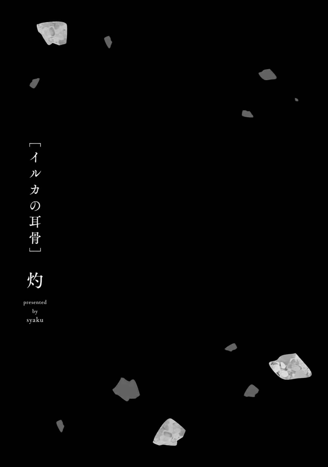 Iruka no Jikotsu Chapter 5 - Page 29