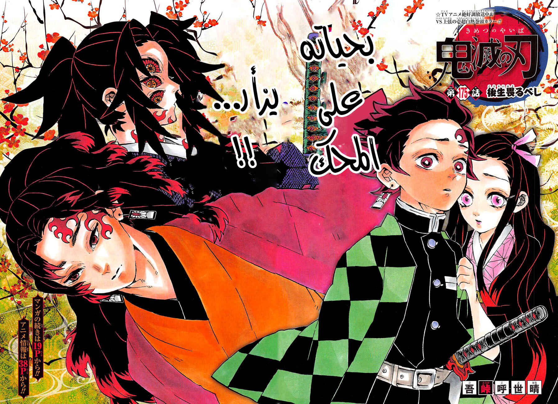 Demon Slayer: Kimetsu no Yaiba Chapter 175 - Page 3