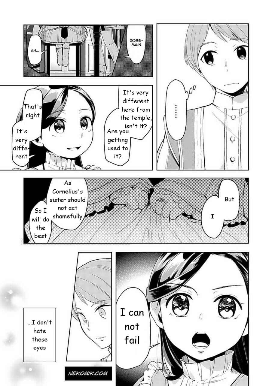 Honzuki no Gekokujou: Shisho ni Naru tame ni wa Shudan o Erandeiraremasen—Dai-3 Bu: Ryouchi ni Hon o Hirogeyou! Chapter 24.5 - Page 3