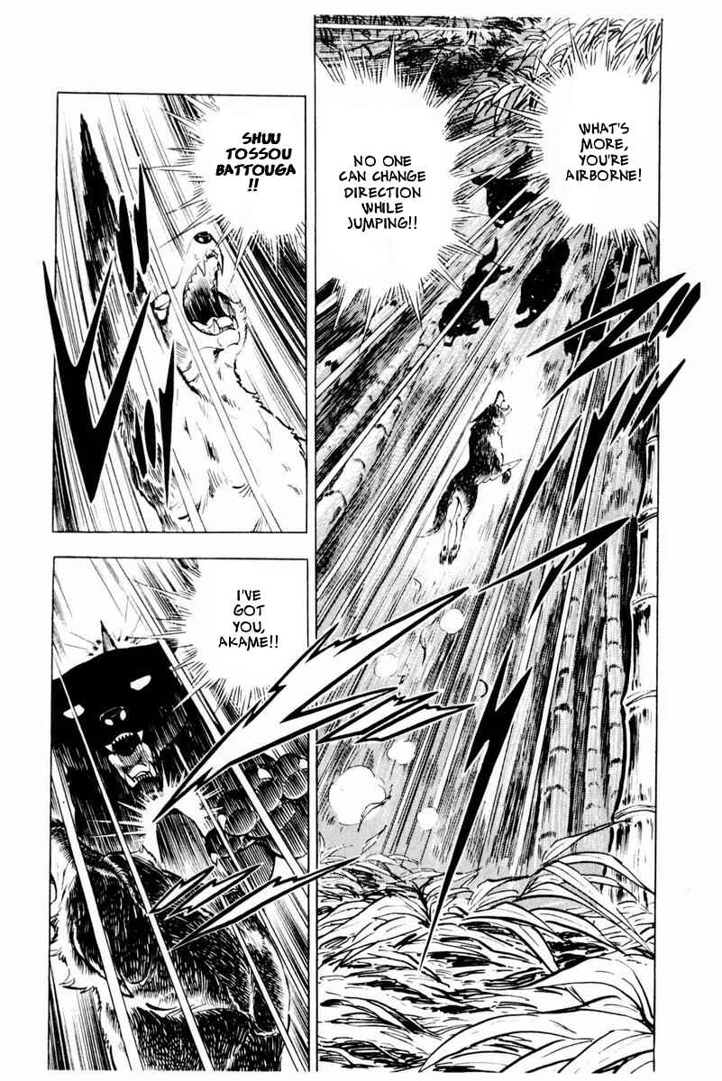 Silver Fang – The Shooting Star Gin – Chapter 45 - Page 32