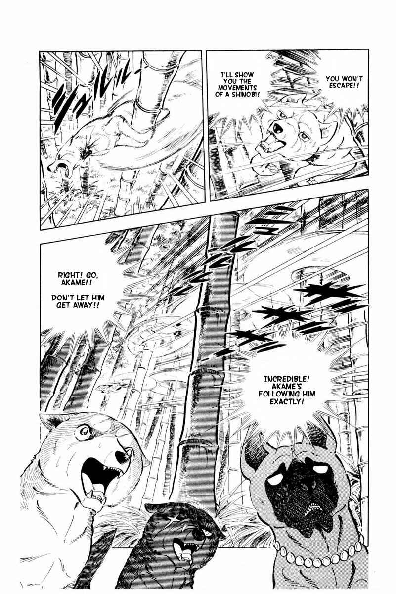 Silver Fang – The Shooting Star Gin – Chapter 45 - Page 5
