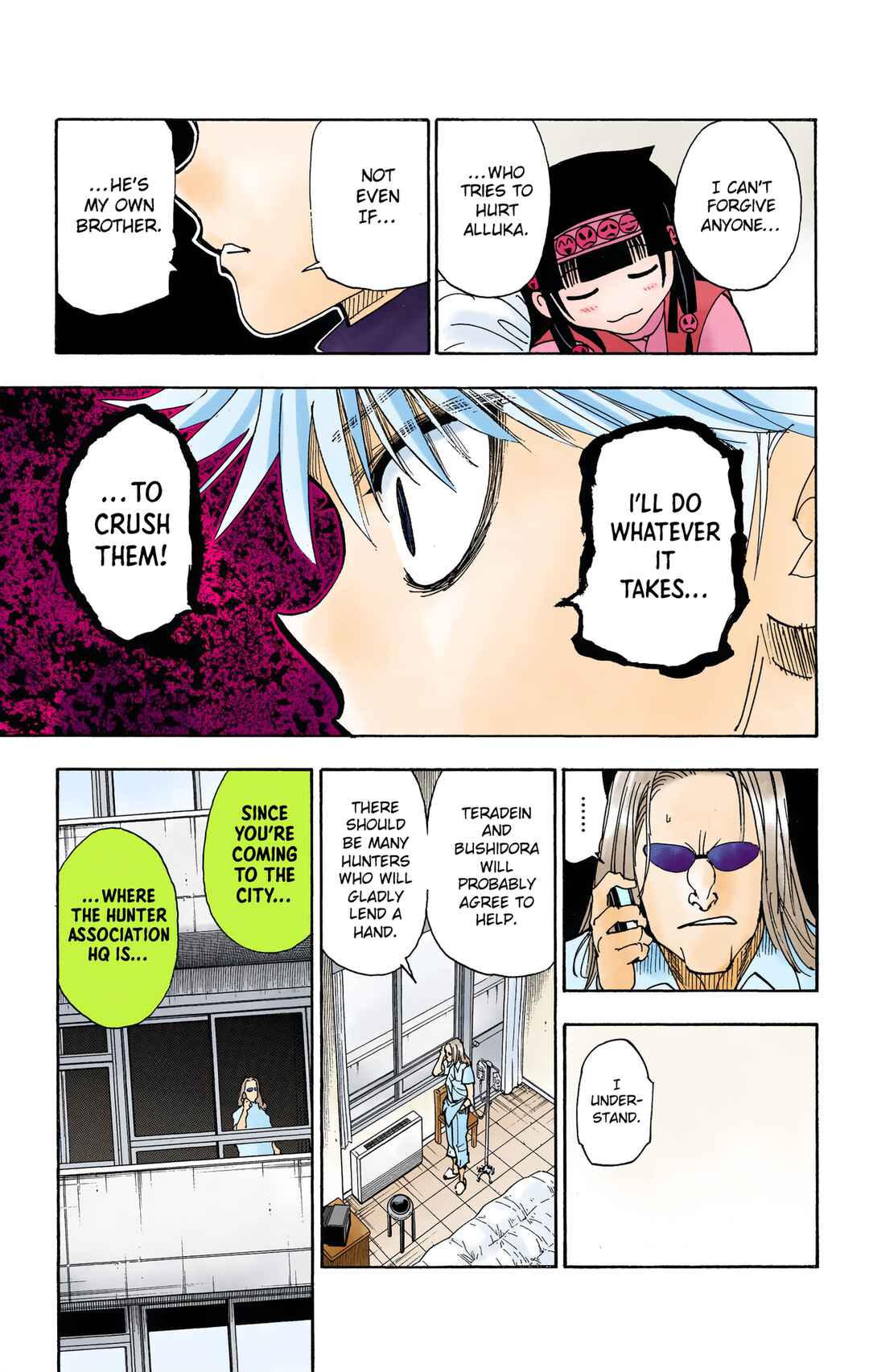 Hunter x Hunter (Official Colored) Chapter 328 - Page 17