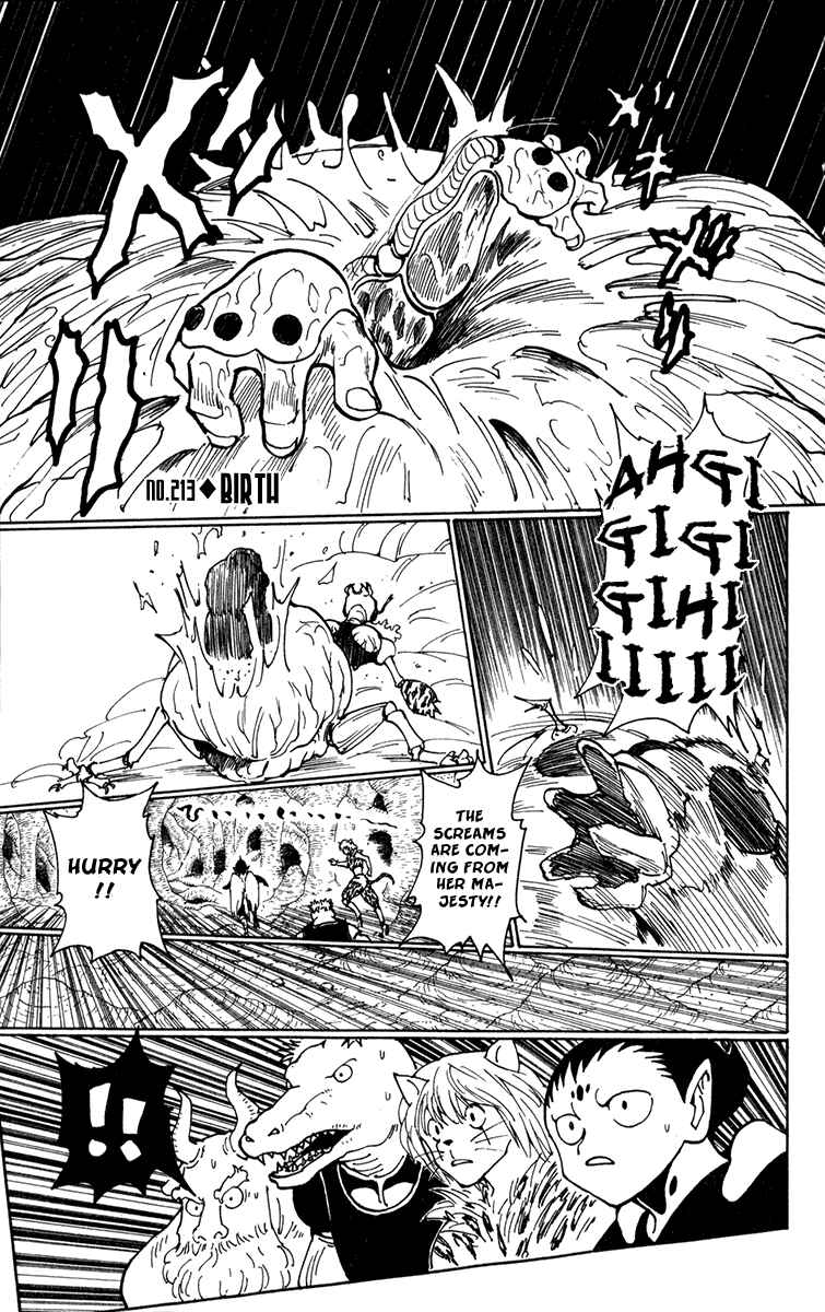 Hunter x Hunter Chapter 213 - Page 1