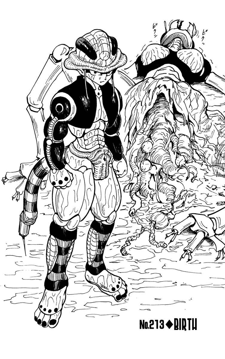 Hunter x Hunter Chapter 213 - Page 2