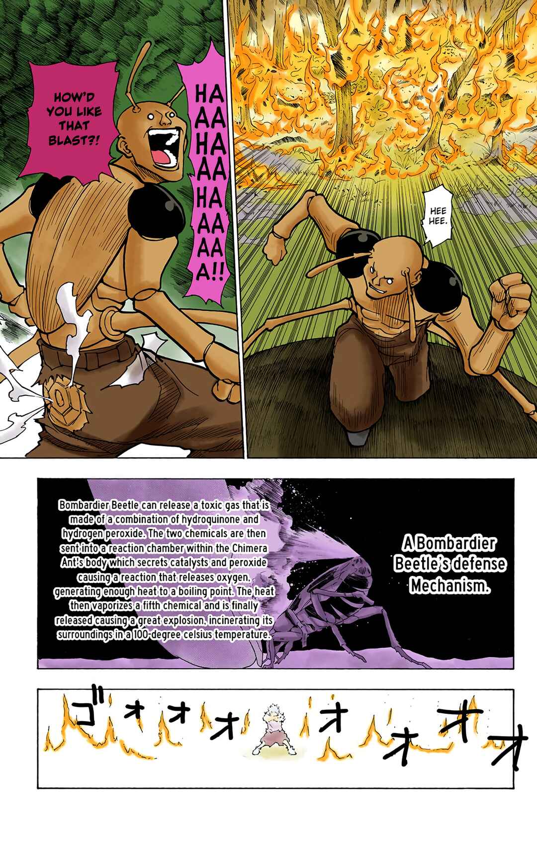 Hunter x Hunter (Official Colored) Chapter 236 - Page 13