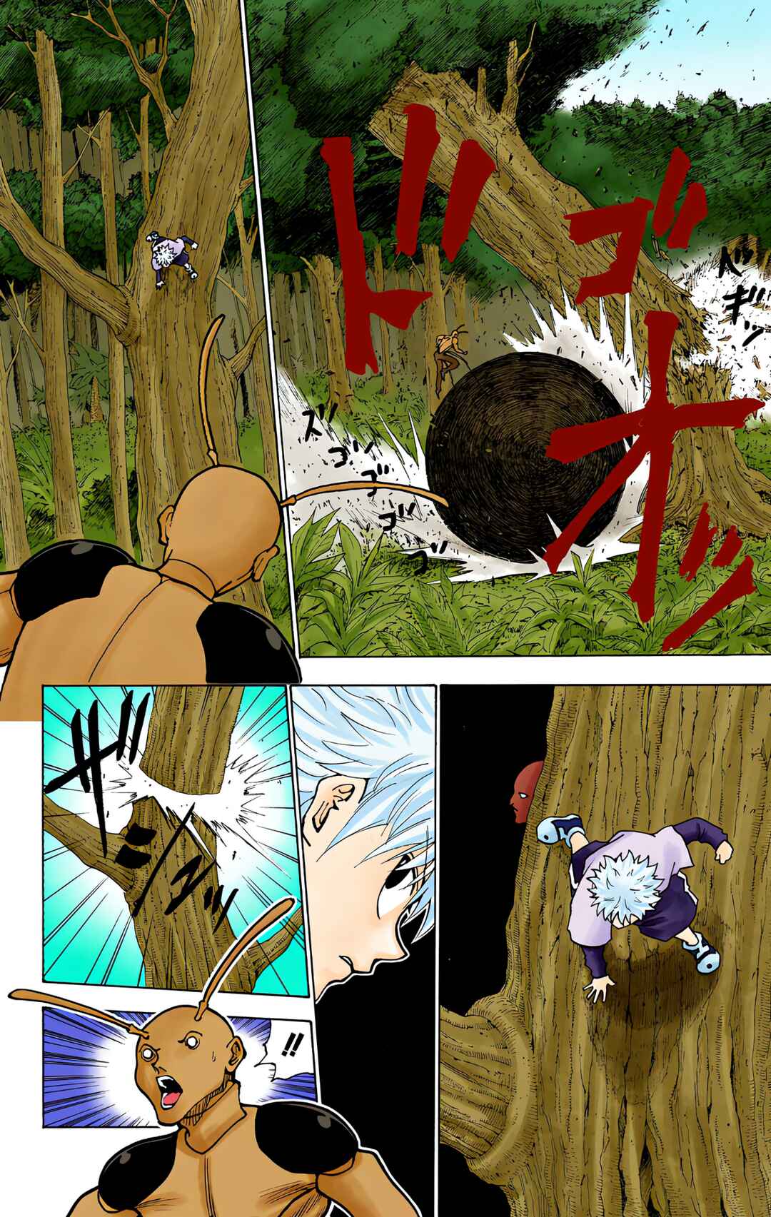 Hunter x Hunter (Official Colored) Chapter 236 - Page 5