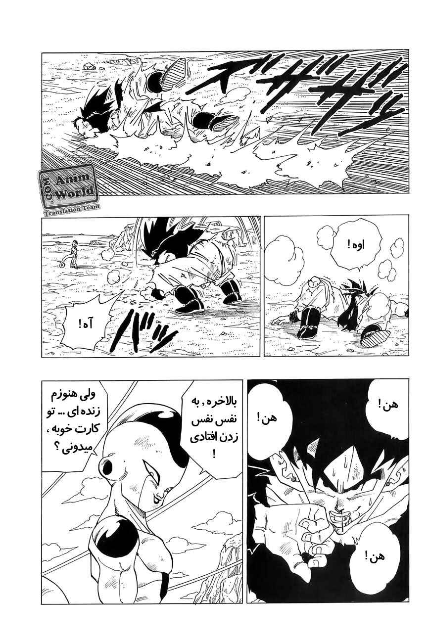 Dragon Ball Chapter 312 - Page 13