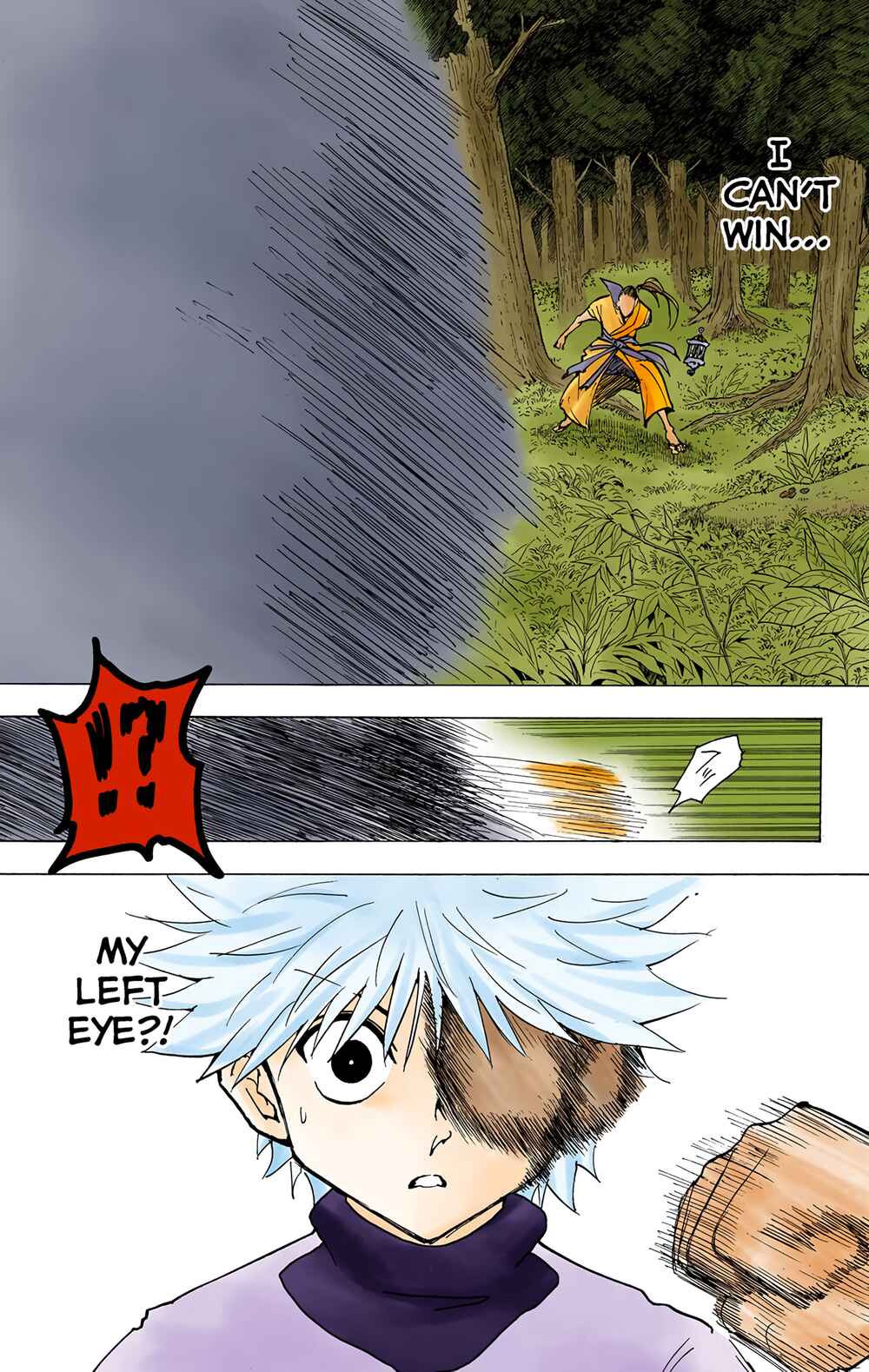Hunter x Hunter (Official Colored) Chapter 212 - Page 10