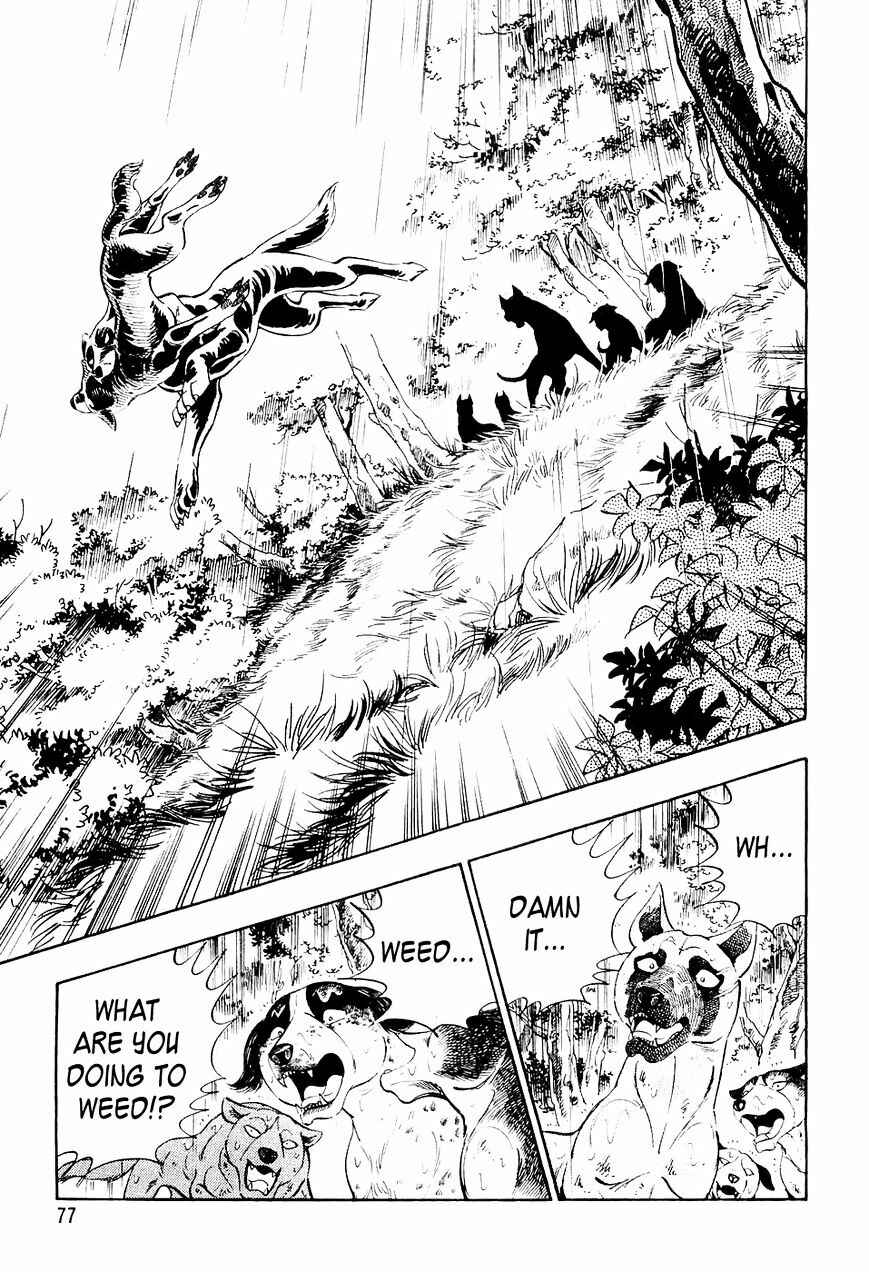 Ginga Densetsu Weed Chapter 14 - Page 14