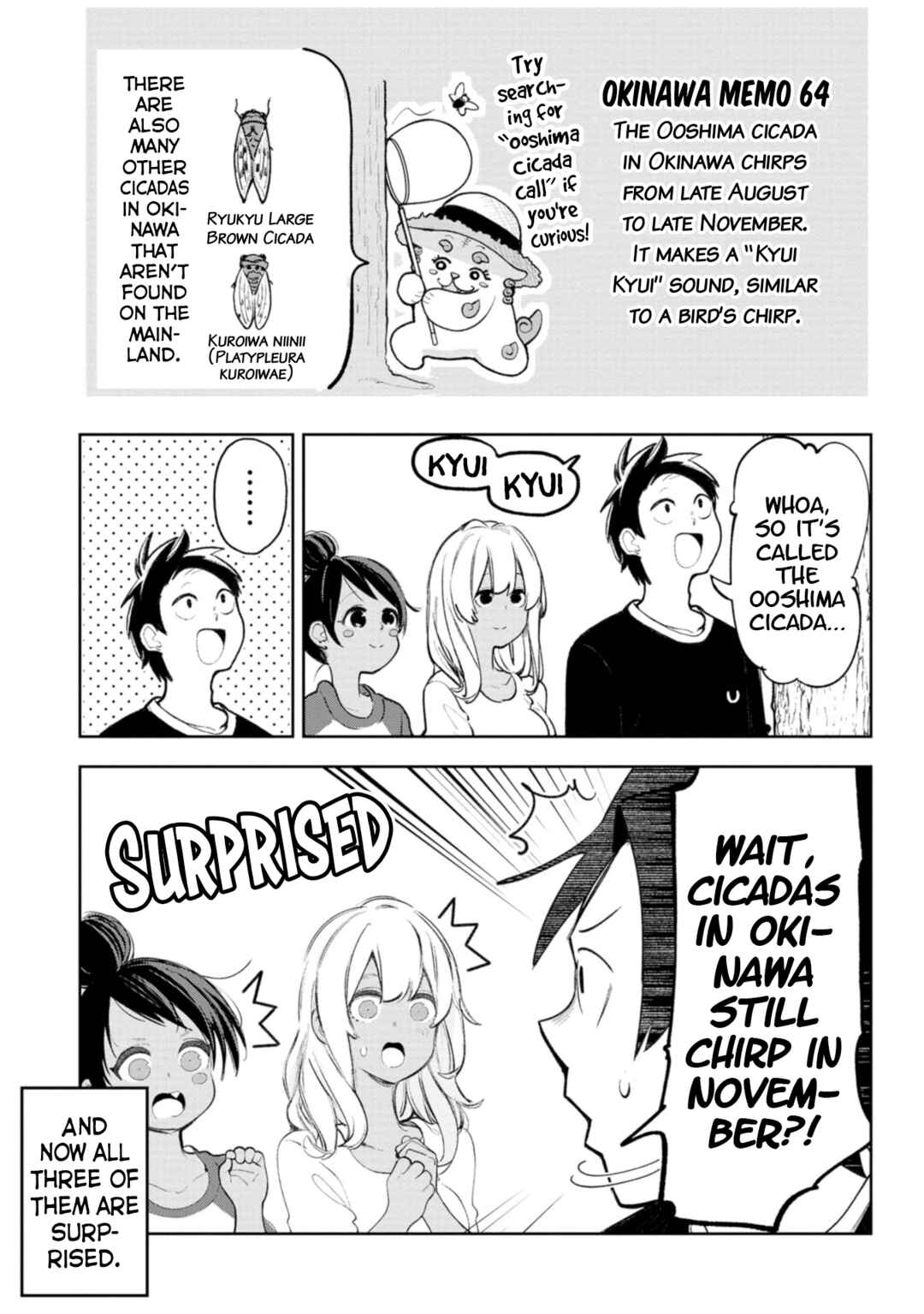 Okinawa de Suki ni Natta Ko ga Hougensugite Tsurasugiru Chapter 38 - Page 3