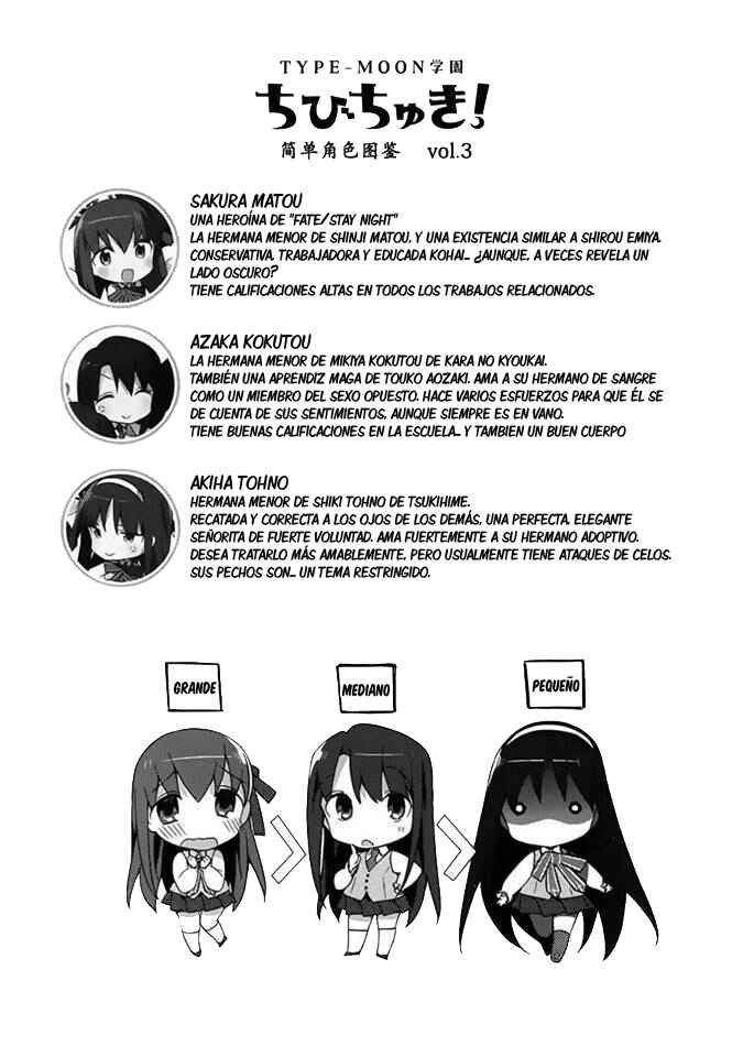 Type-Moon Gakuen - Chibi Chuki! Chapter 2 - Page 19