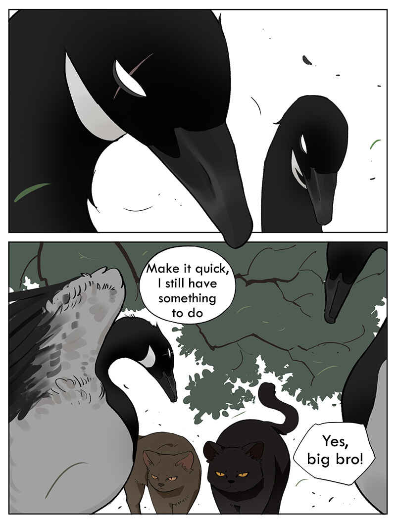 Southern Bird and Northern Bird Chapter 47 - Page 1