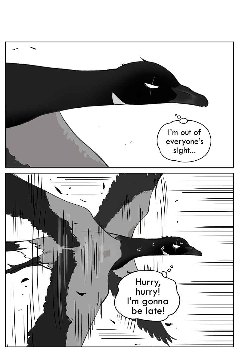 Southern Bird and Northern Bird Chapter 47 - Page 3