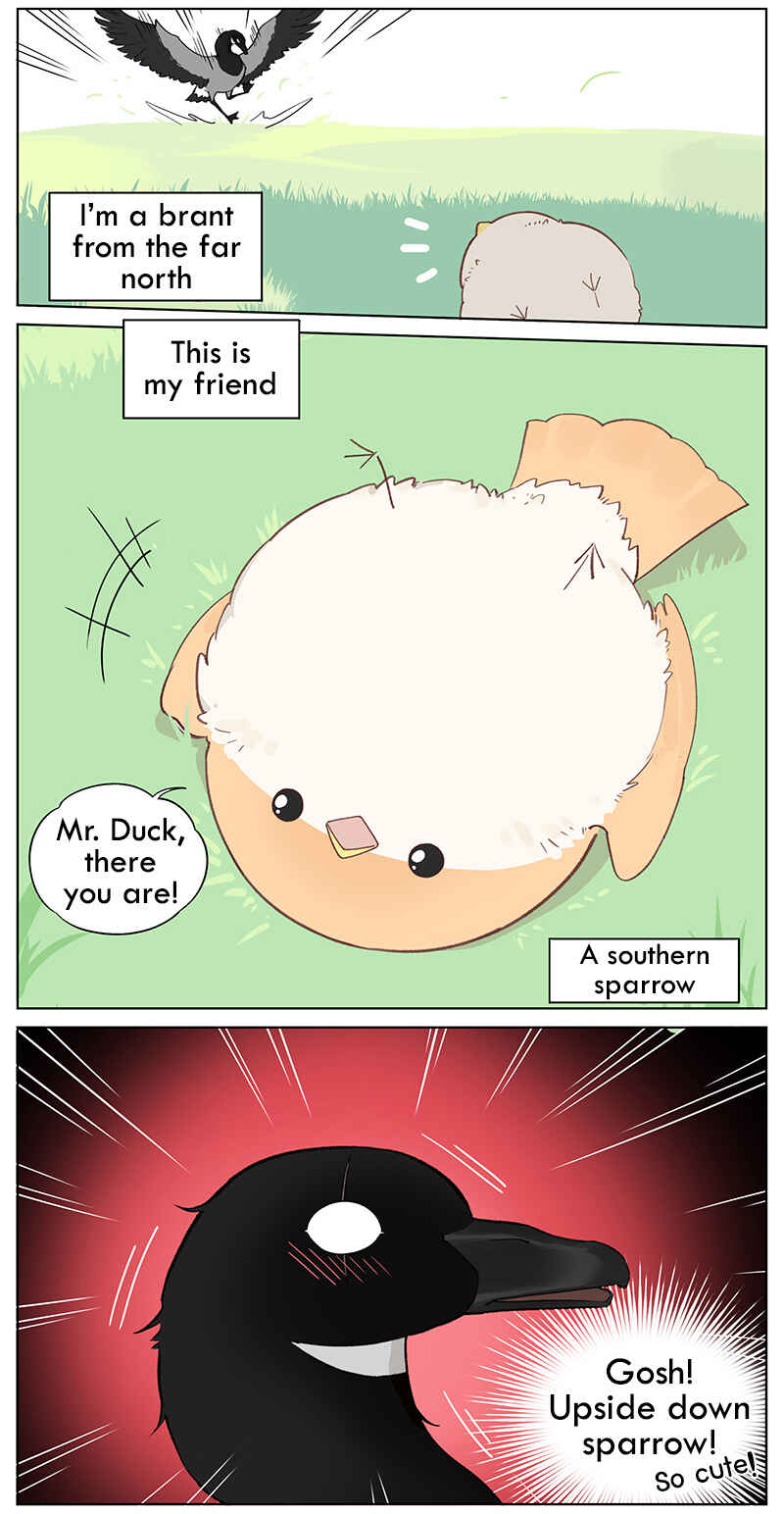 Southern Bird and Northern Bird Chapter 47 - Page 4