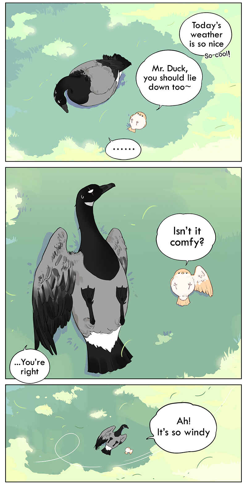 Southern Bird and Northern Bird Chapter 47 - Page 5