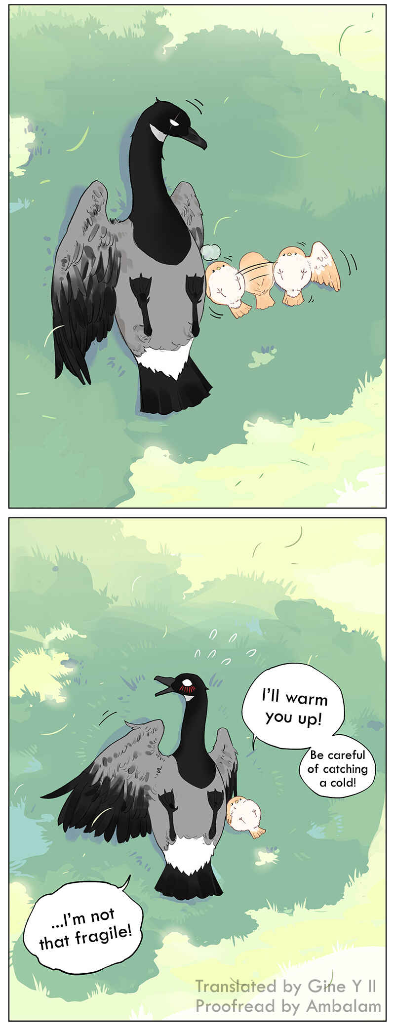 Southern Bird and Northern Bird Chapter 47 - Page 6