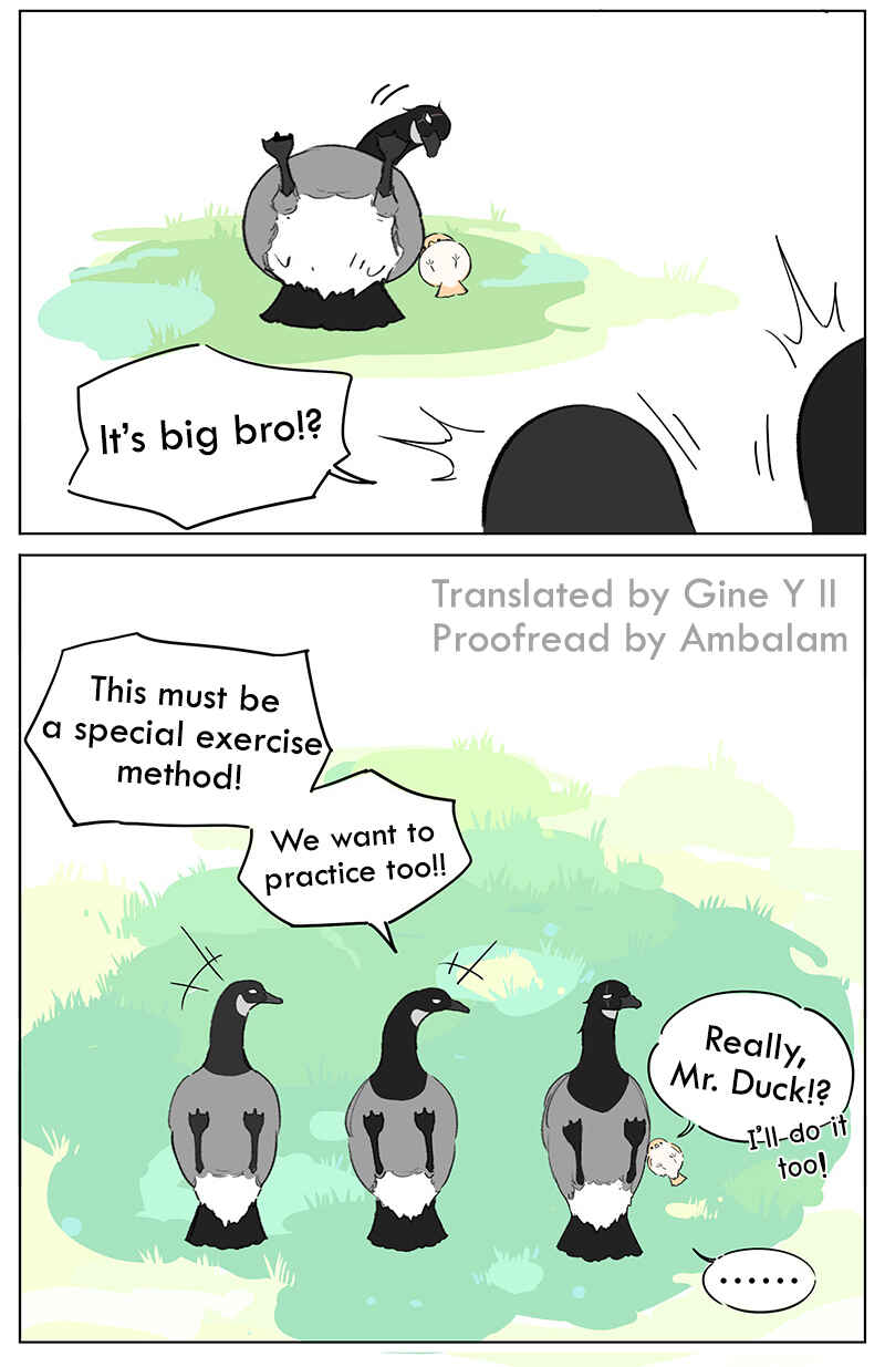 Southern Bird and Northern Bird Chapter 47 - Page 8