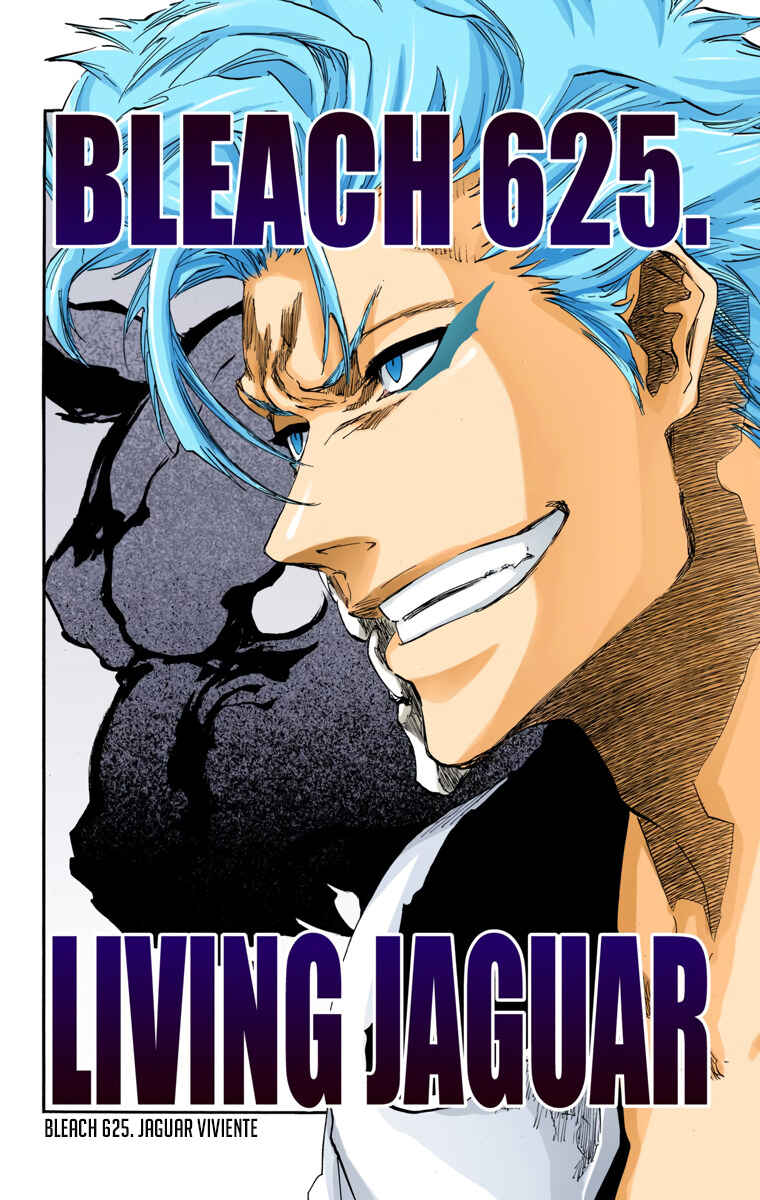 Bleach (Official Colored) Chapter 625 - Page 3