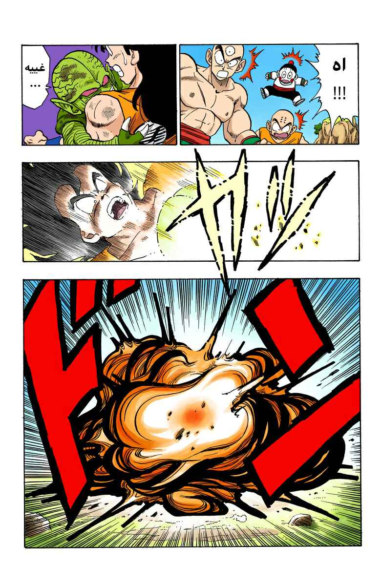 Dragon Ball (Official Colored) Chapter 215 - Page 11