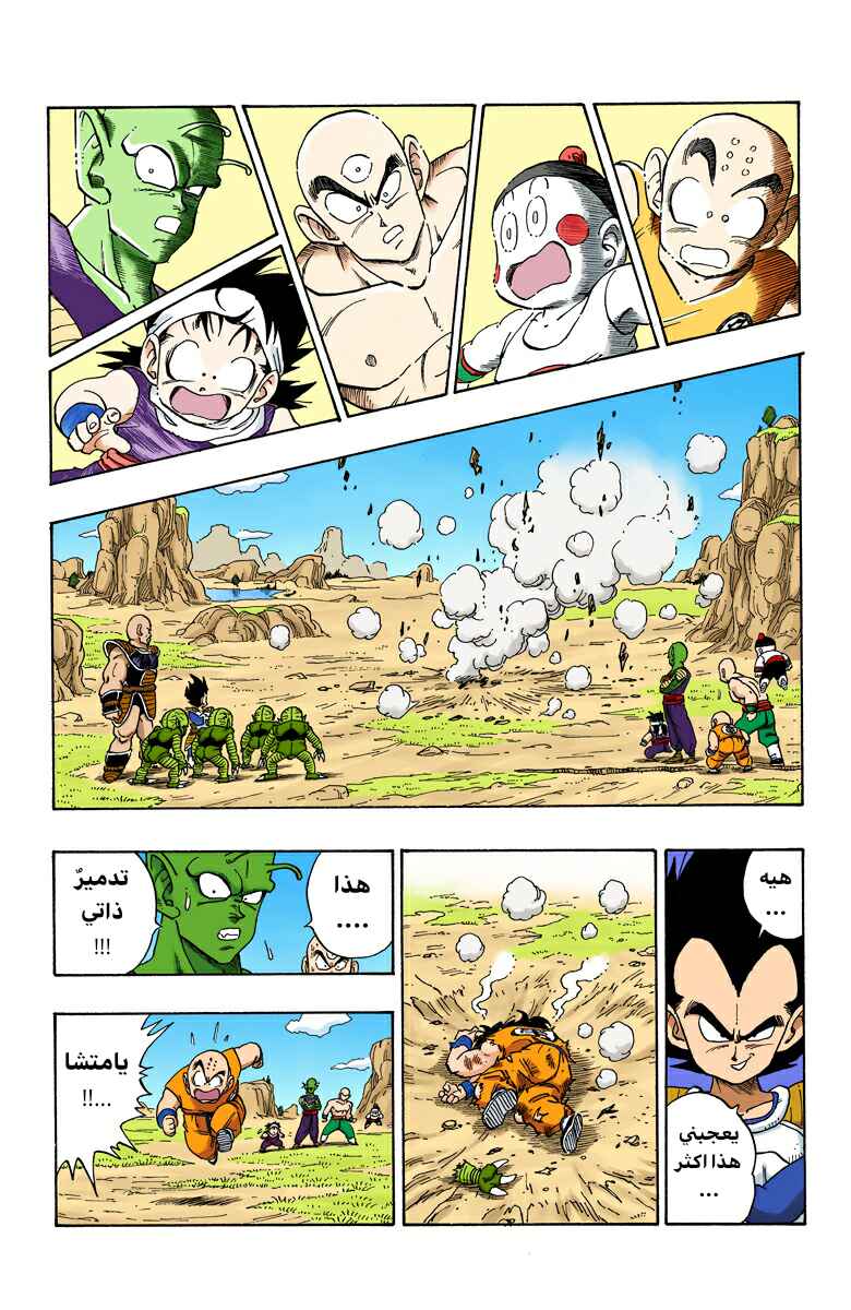Dragon Ball (Official Colored) Chapter 215 - Page 12