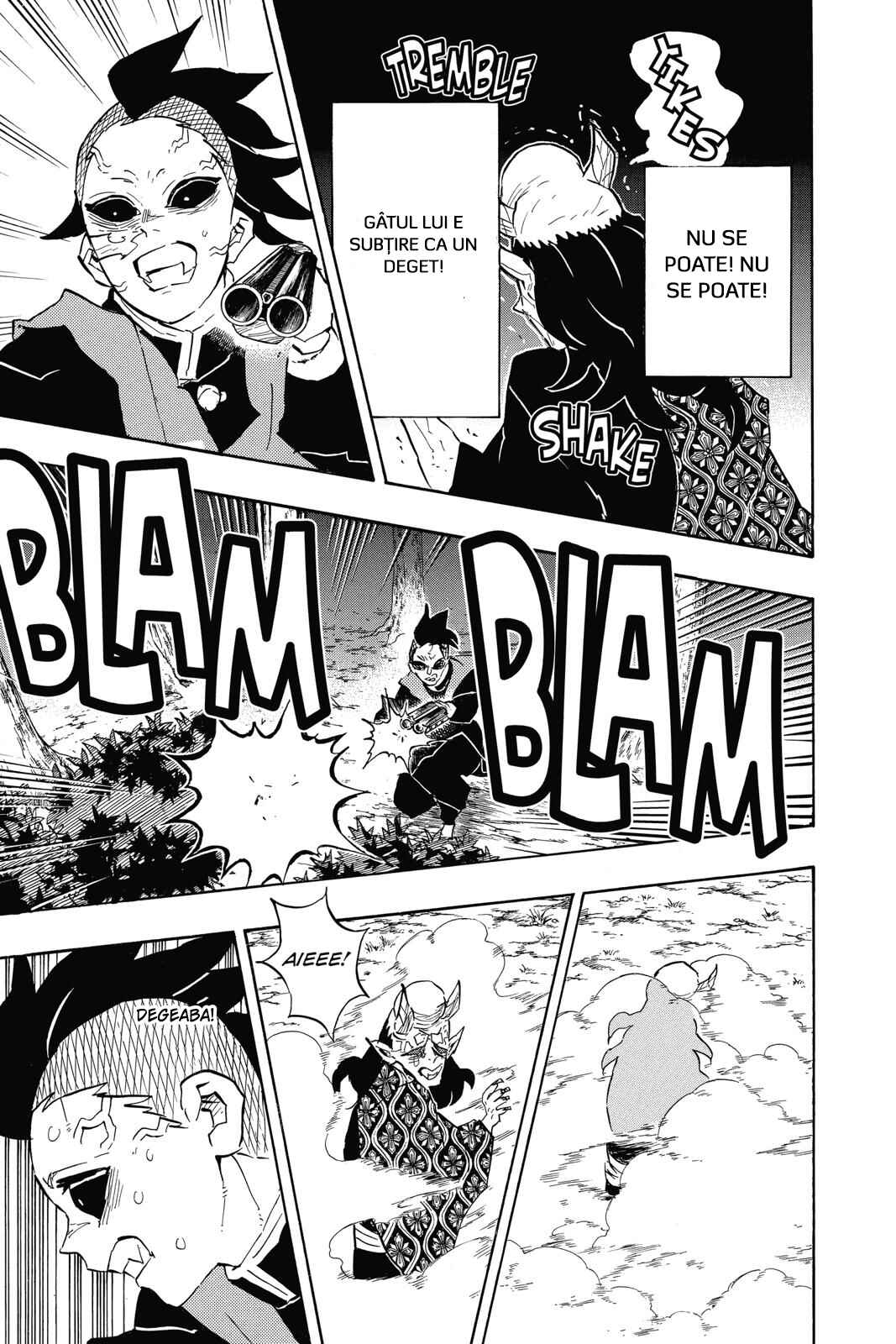 Demon Slayer: Kimetsu no Yaiba Chapter 114 - Page 18