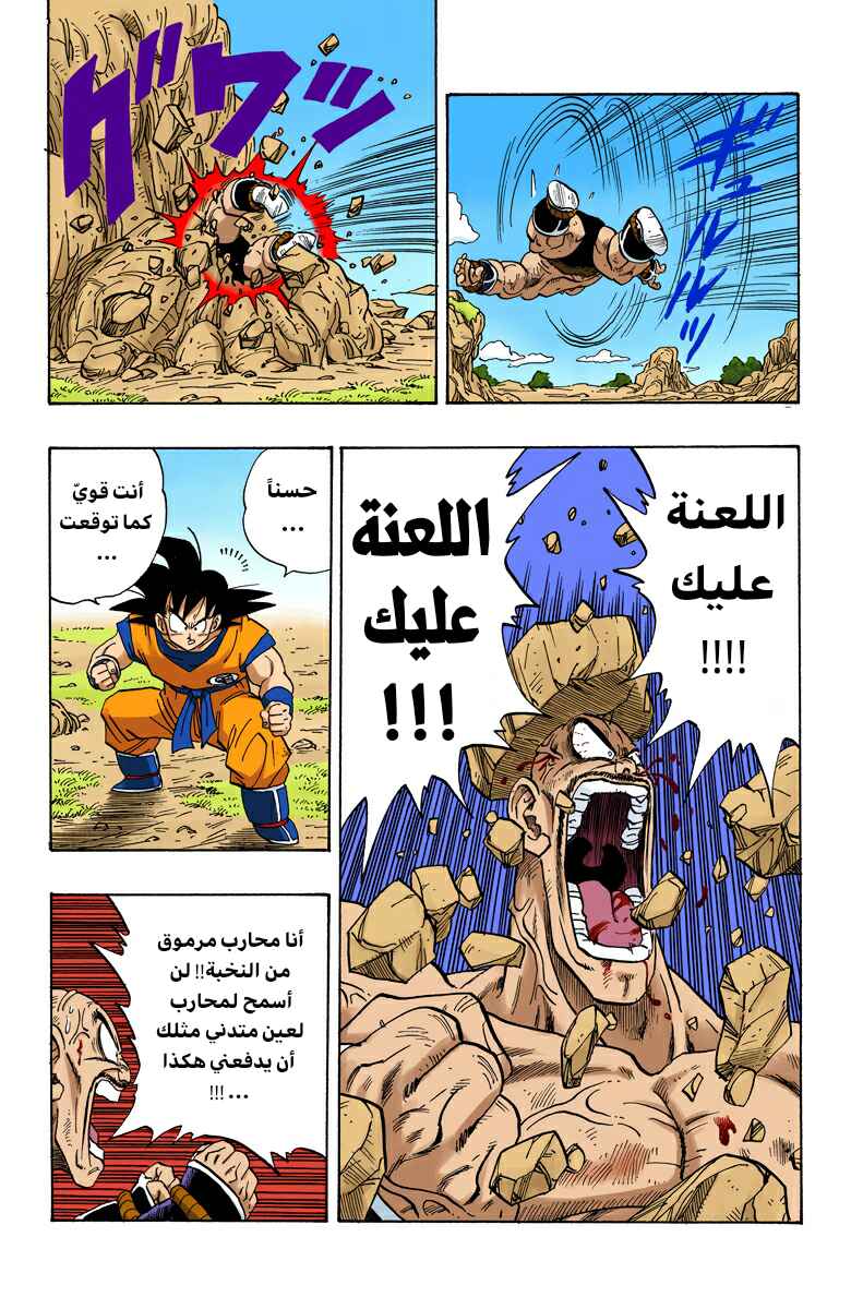 Dragon Ball (Official Colored) Chapter 225 - Page 13
