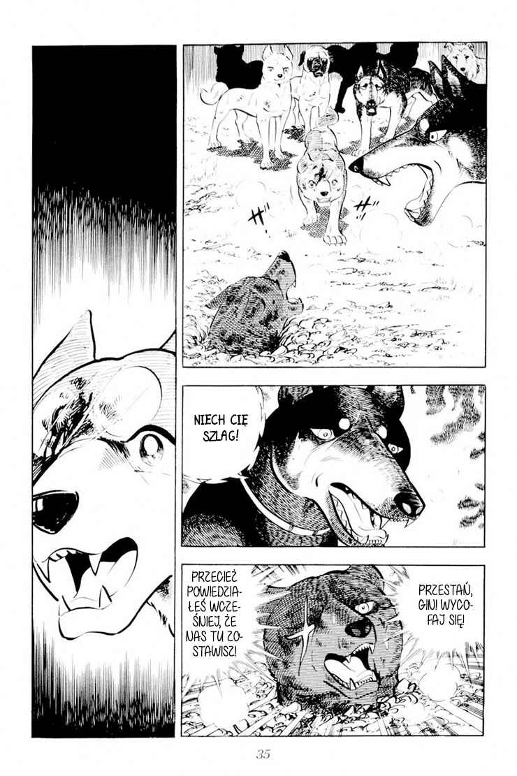 Silver Fang – The Shooting Star Gin – Chapter 26.1 - Page 31