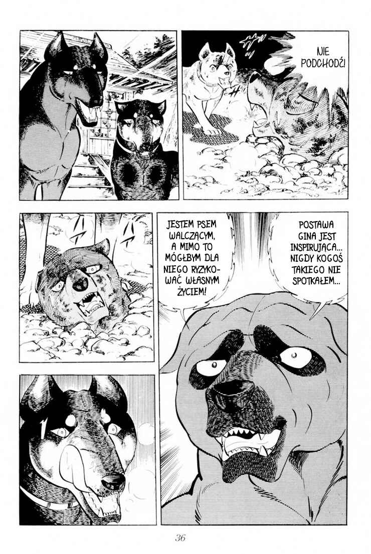 Silver Fang – The Shooting Star Gin – Chapter 26.1 - Page 32