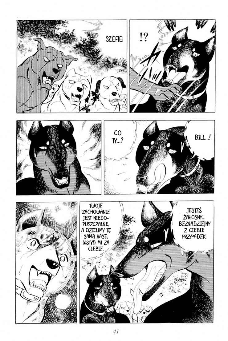 Silver Fang – The Shooting Star Gin – Chapter 26.1 - Page 37