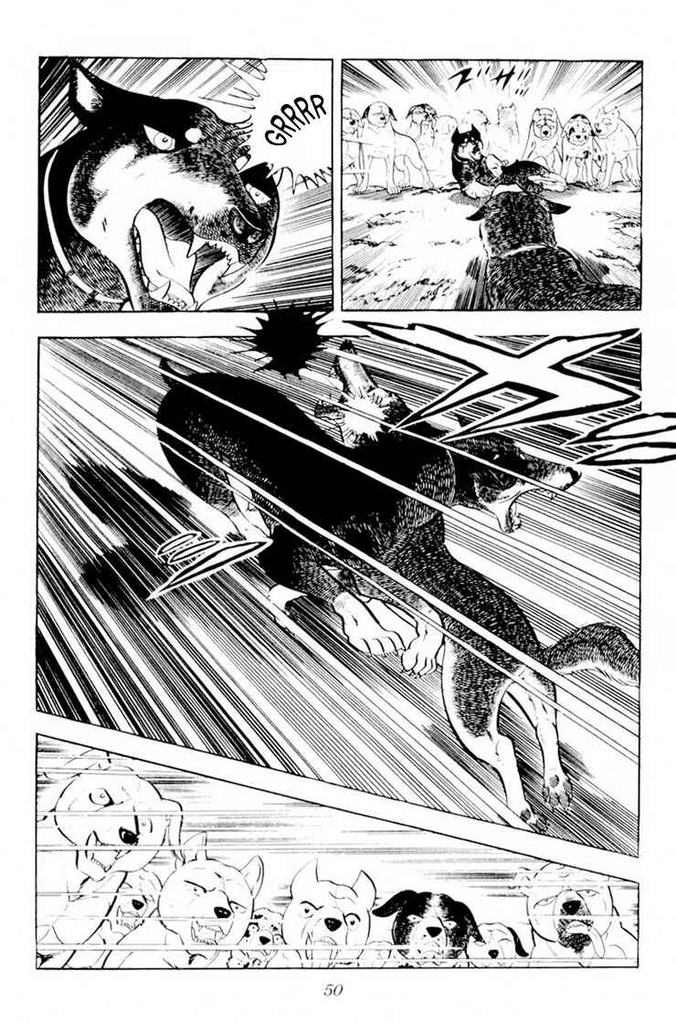 Silver Fang – The Shooting Star Gin – Chapter 26.1 - Page 46