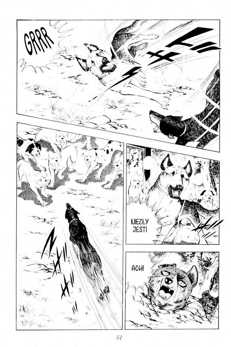 Silver Fang – The Shooting Star Gin – Chapter 26.1 - Page 47