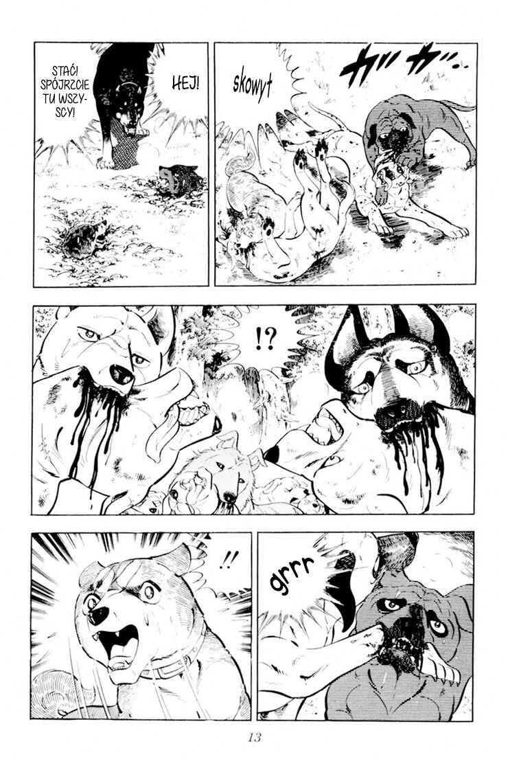 Silver Fang – The Shooting Star Gin – Chapter 26.1 - Page 9