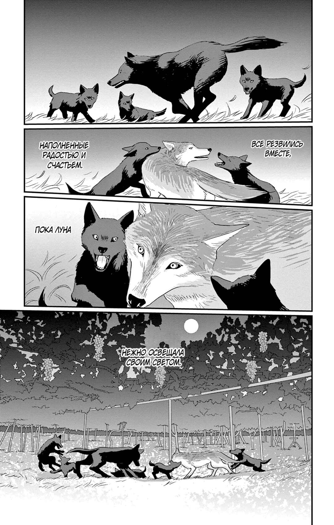 The Tale of Werewolf Chapter 4 - Page 29