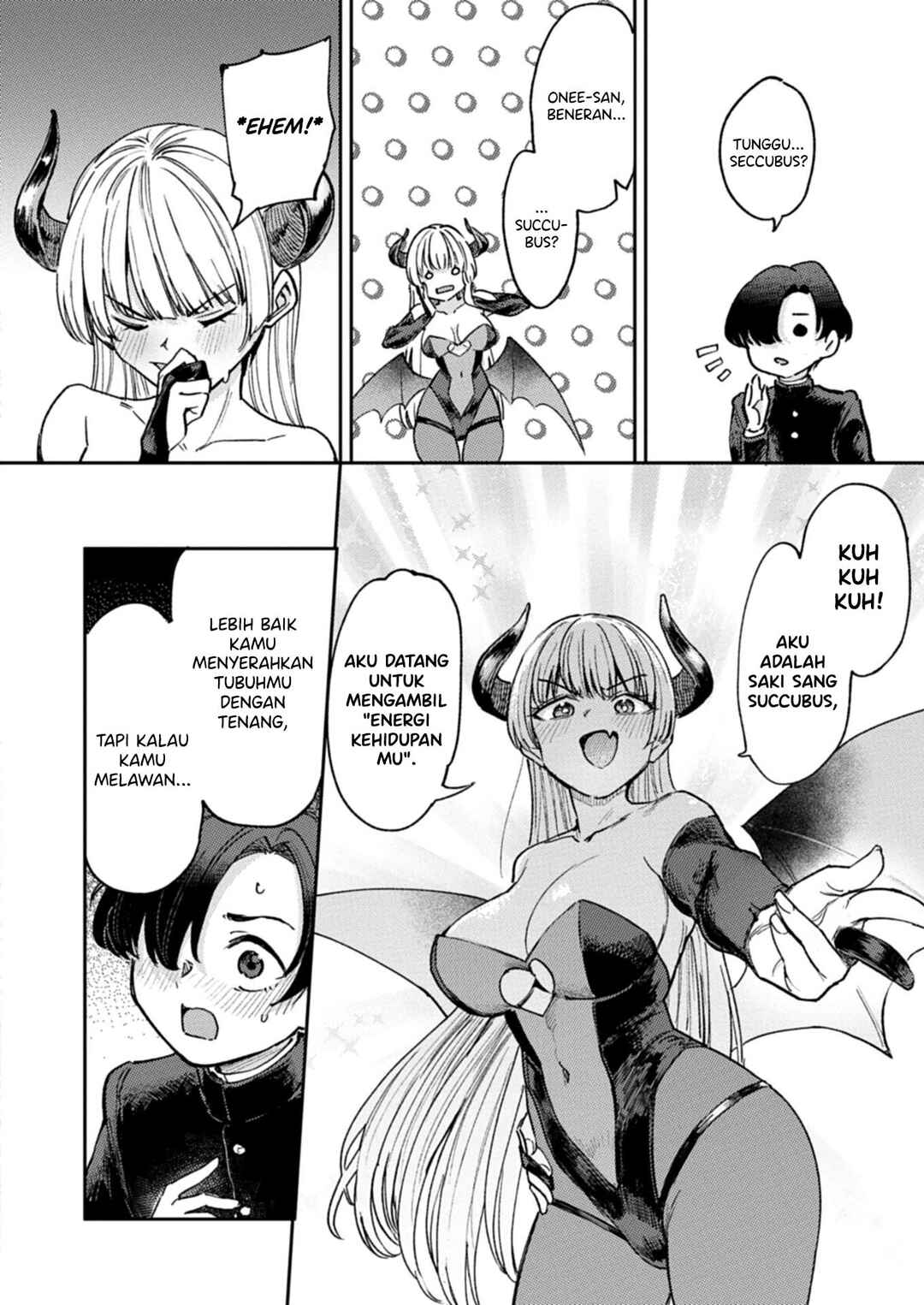 Keppeki Succubus wa ××× ga Okirai Chapter 1 - Page 13