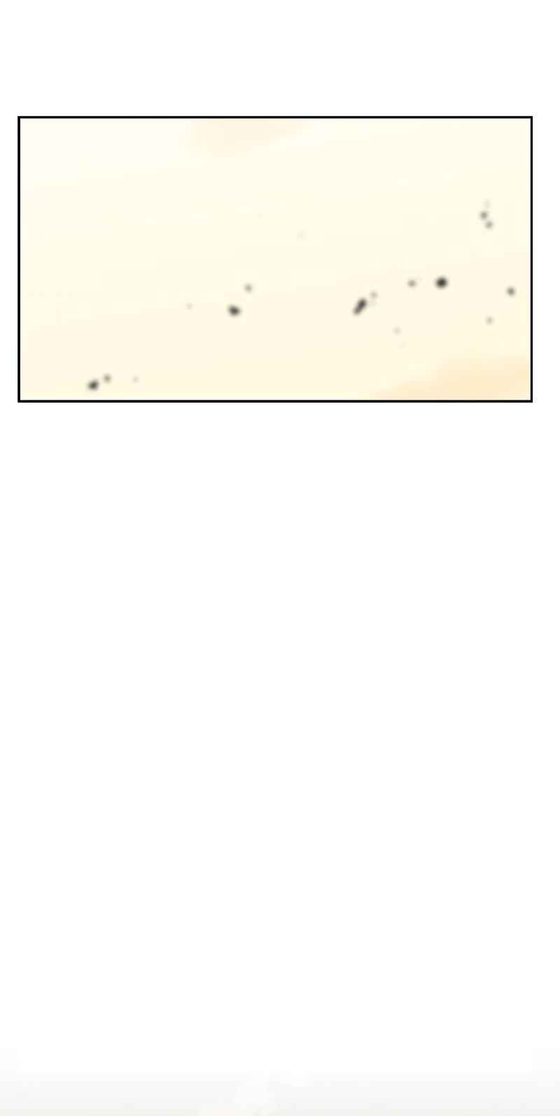 Martial Wild West Chapter 19 - Page 59