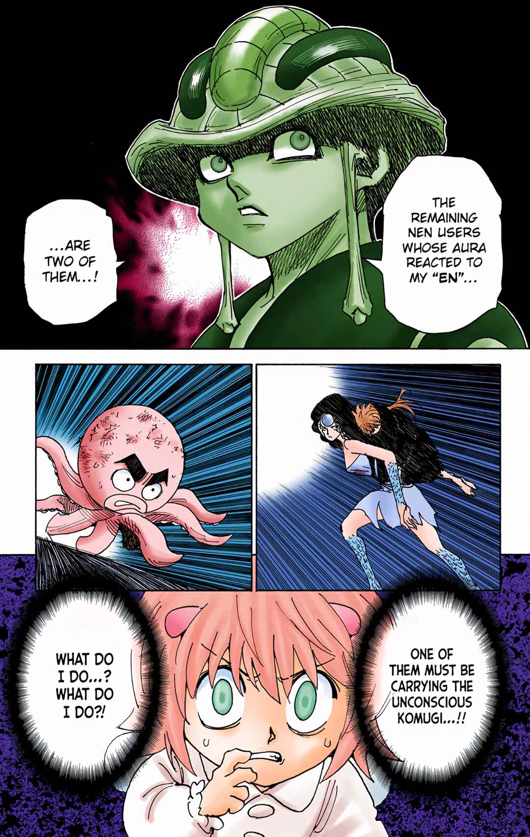 Hunter x Hunter (Official Colored) Chapter 308 - Page 17