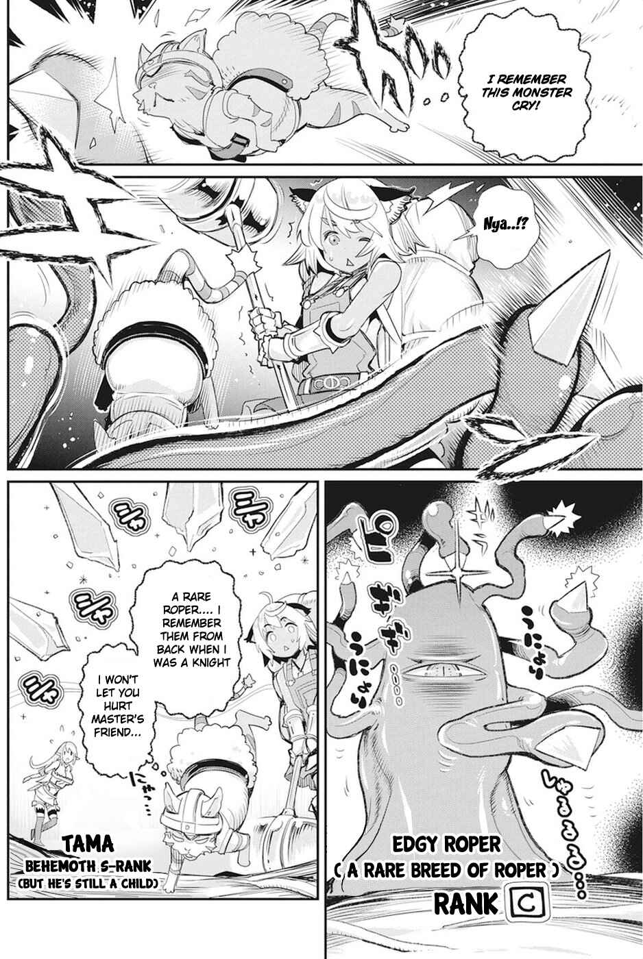 S-Rank Monster no "Behemoth" dakedo, Neko to Machigawarete Elf Musume no Pet to Shite Kurashitemasu Chapter 8 - Page 10