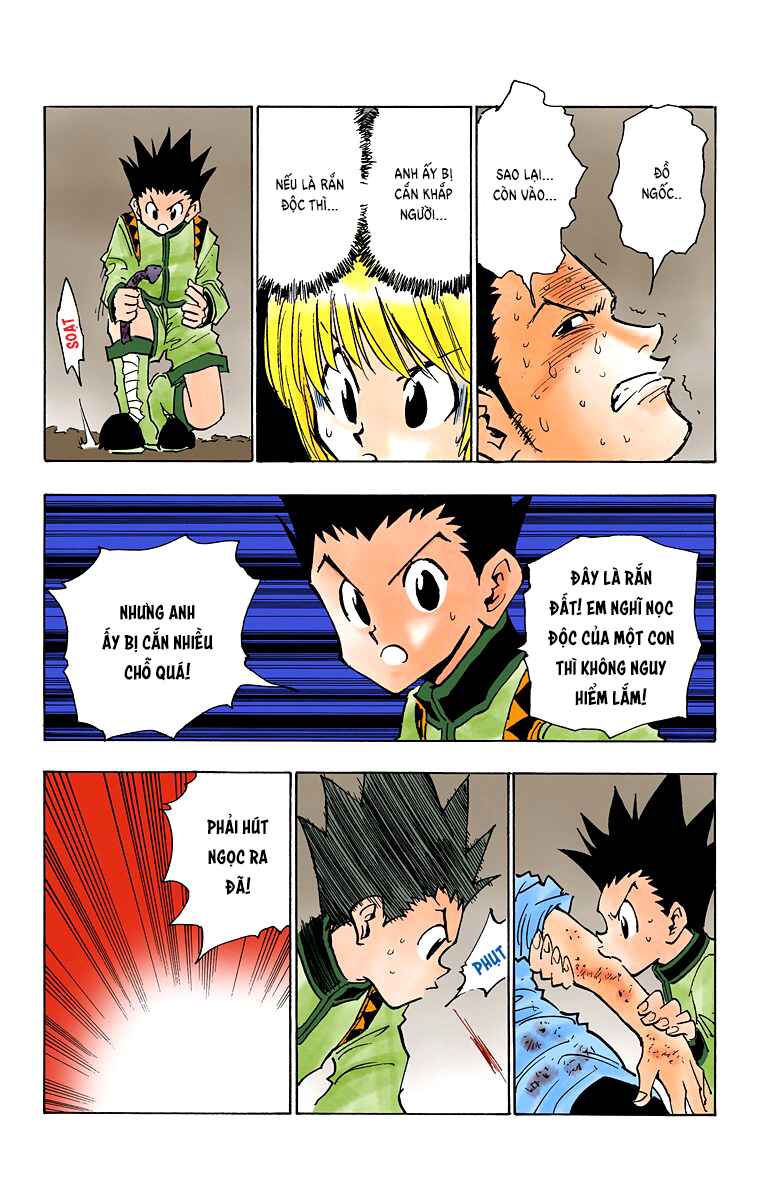 Hunter x Hunter (Official Colored) Chapter 30 - Page 17