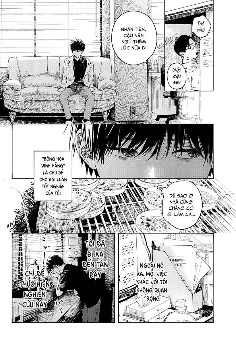 Wilted Flower Chapter ? - Page 8