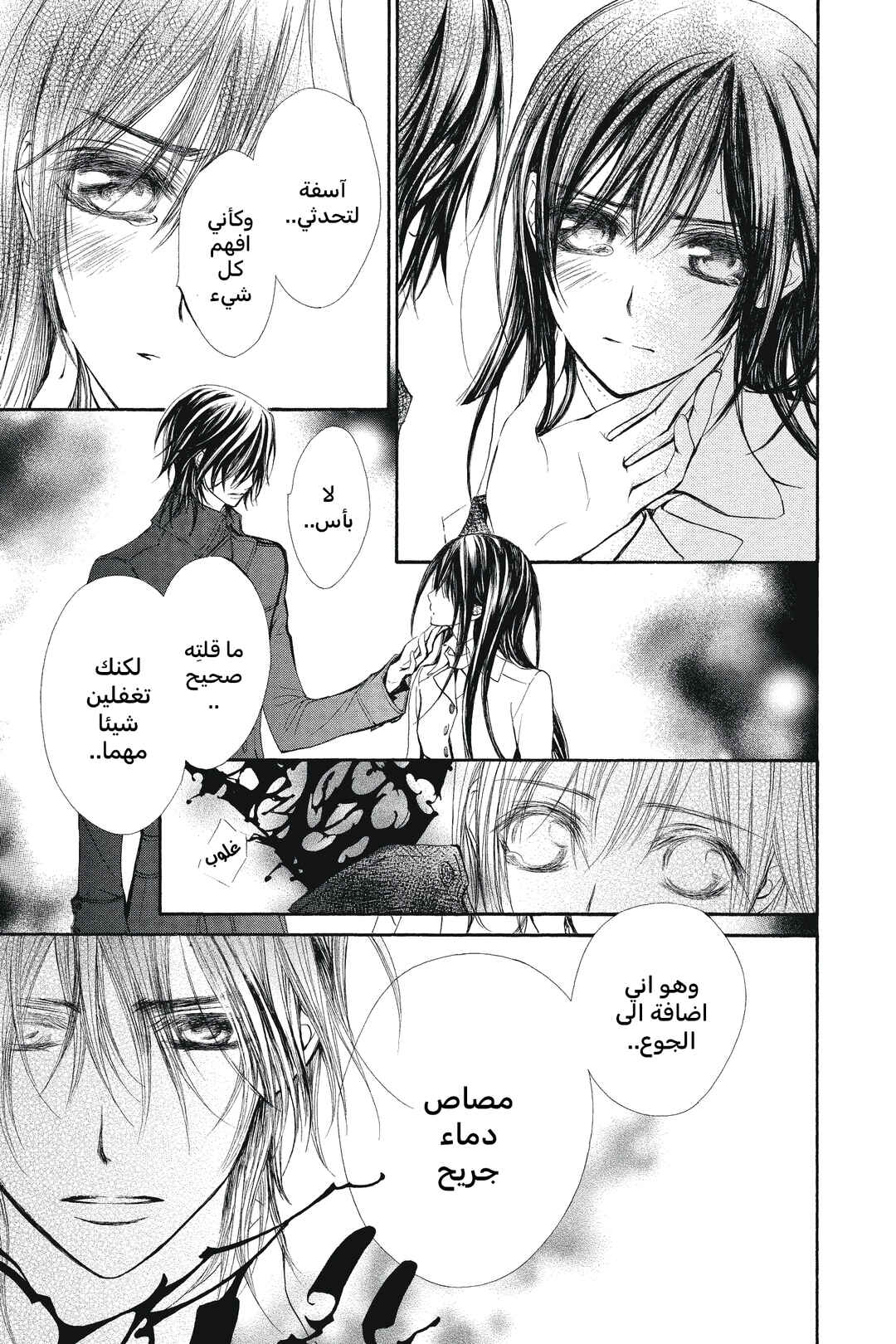 Vampire Knight Chapter 49 - Page 17
