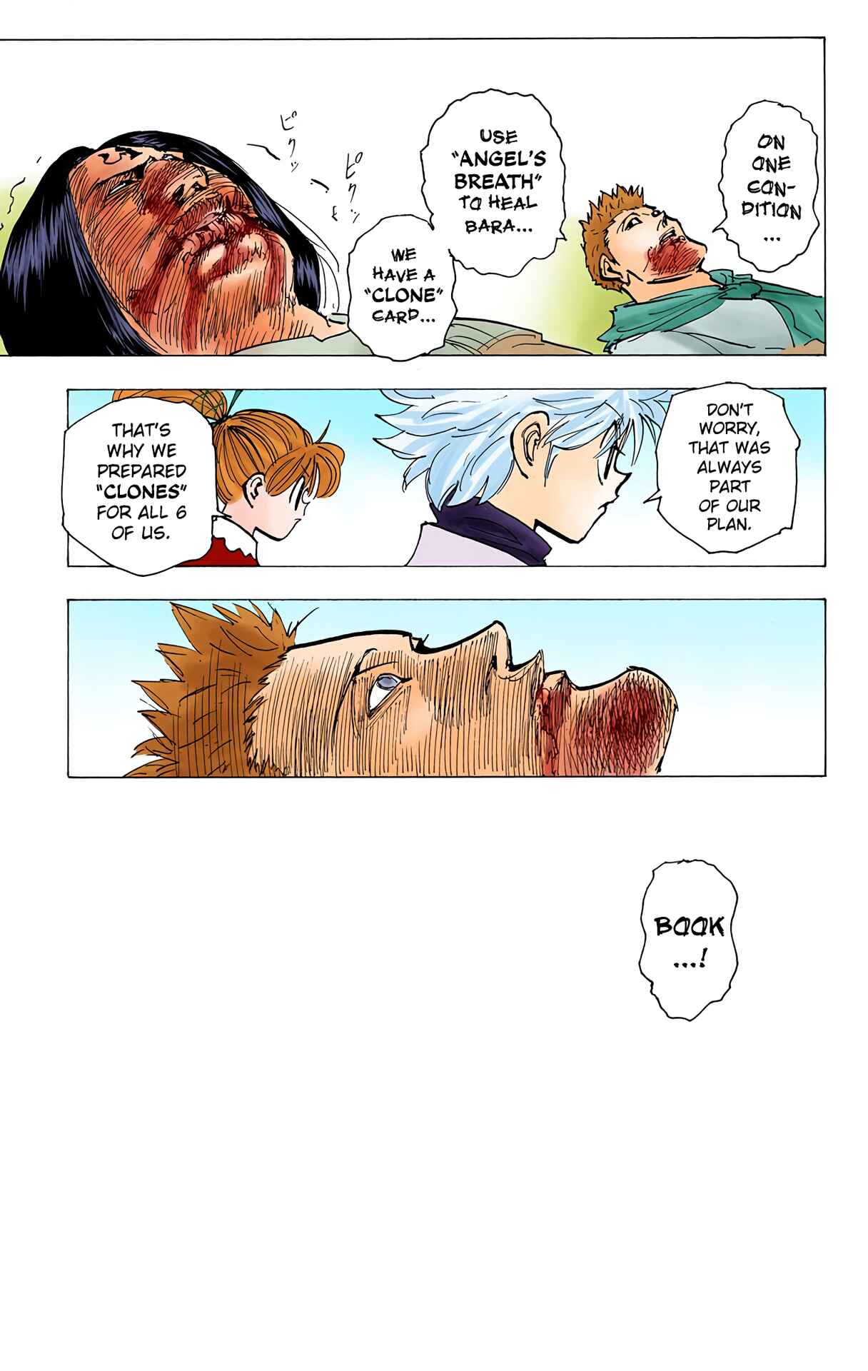 Hunter x Hunter (Official Colored) Chapter 181 - Page 13