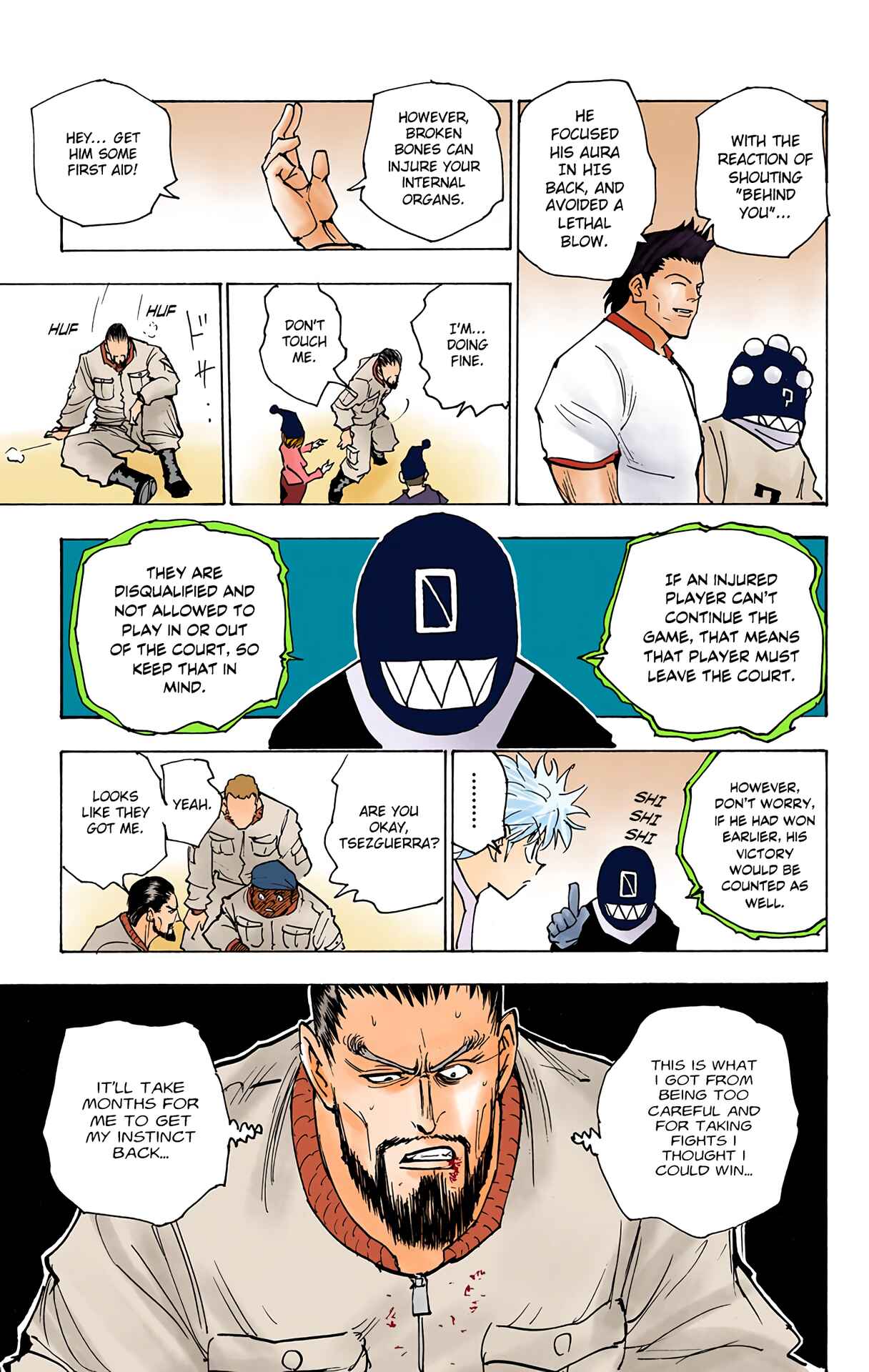 Hunter x Hunter (Official Colored) Chapter 162 - Page 13
