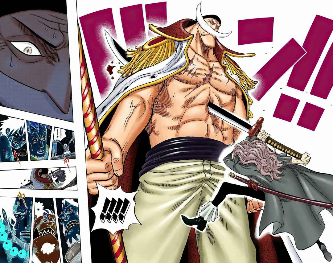 One Piece (Official Colored) Chapter 562 - Page 16