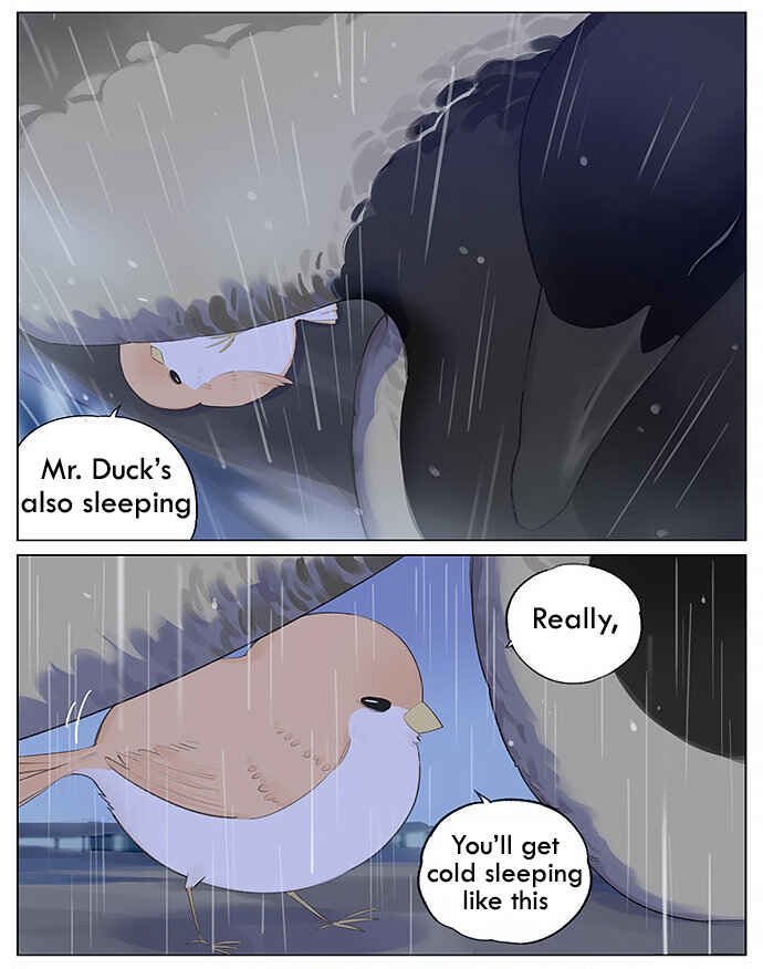 Southern Bird and Northern Bird Chapter 12 - Page 6