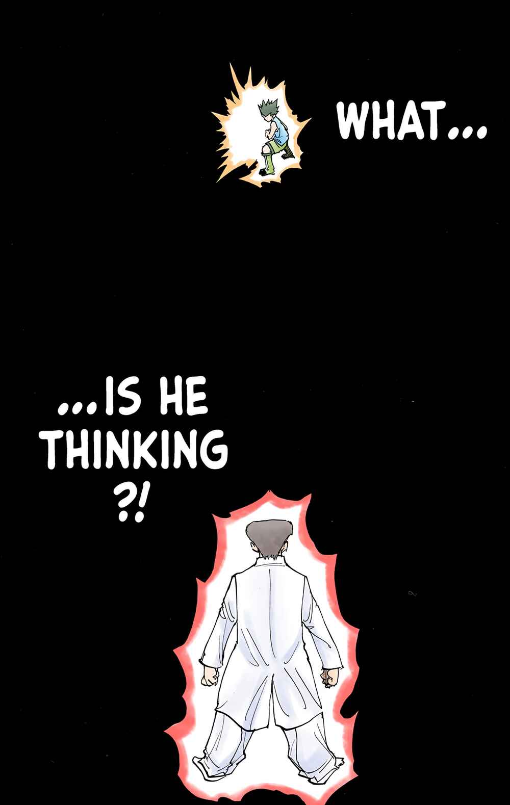 Hunter x Hunter (Official Colored) Chapter 208 - Page 15