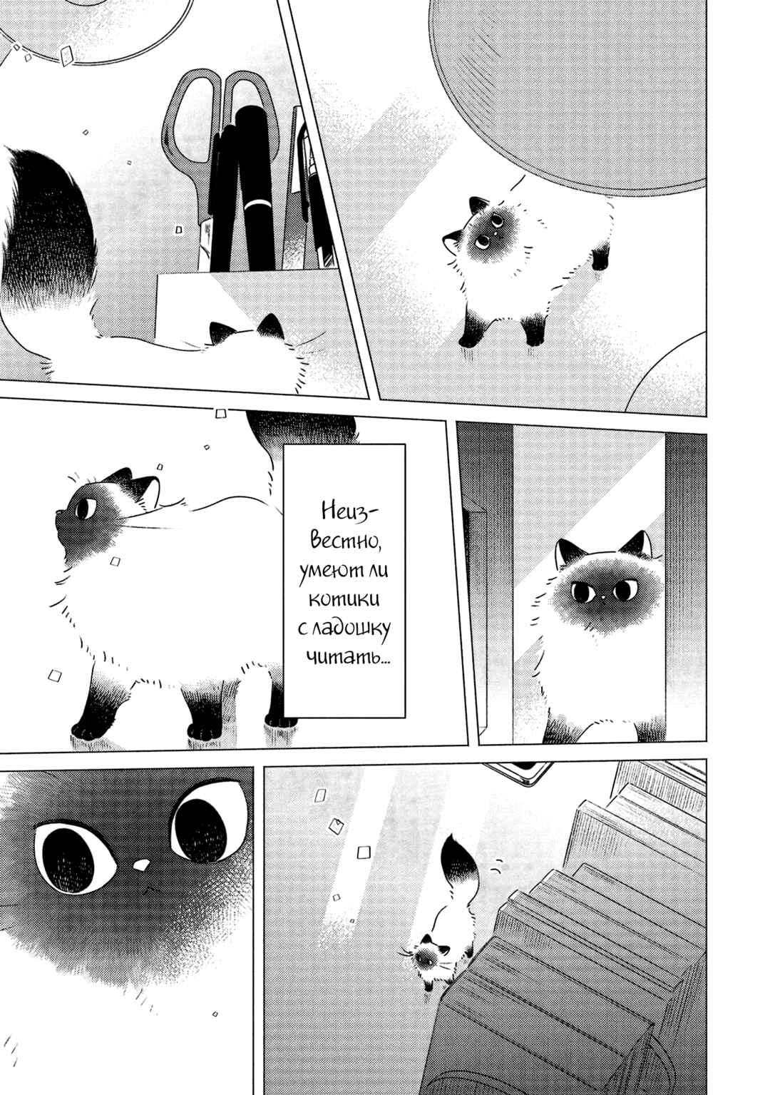 Te no Hira Neko Chapter 3 - Page 5