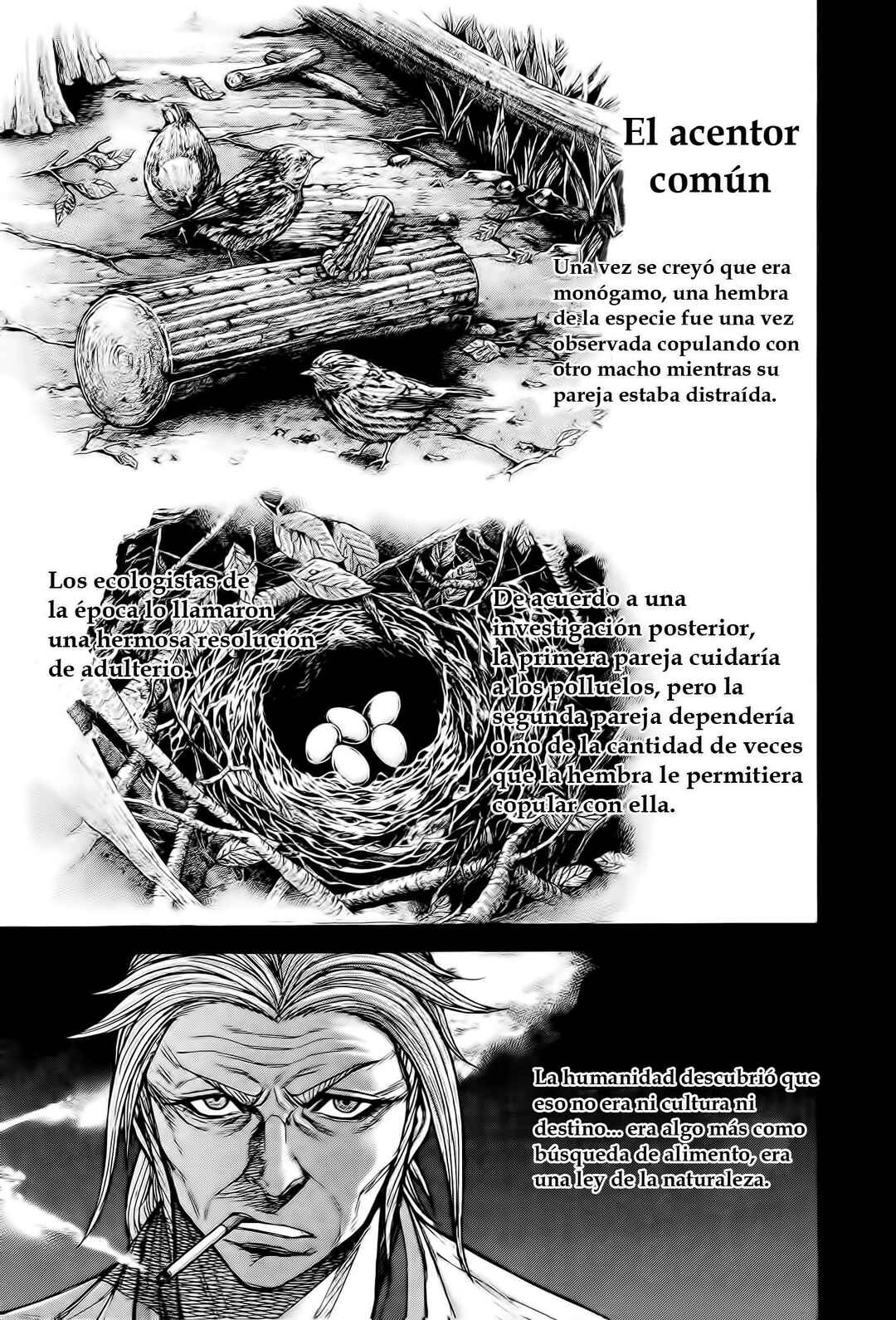 Terra Formars Chapter 50 - Page 5