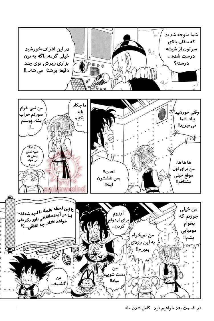 Dragon Ball Chapter 20 - Page 15