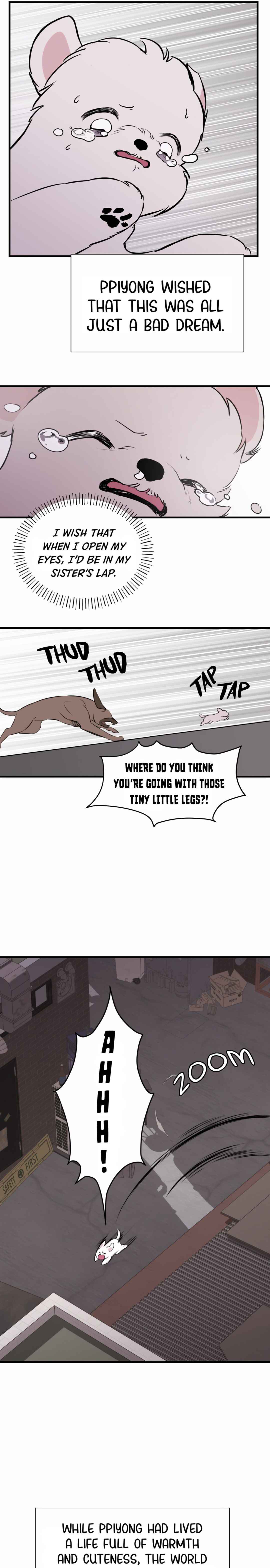 Run Like a Dog Chapter 2 - Page 28